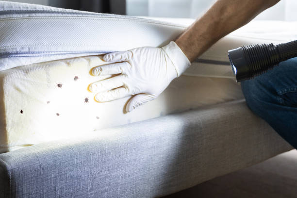 Best Commercial Pest Control Services  in Belle Isle, FL