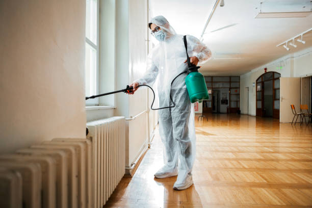 Pest Prevention Services in Belle Isle, FL